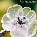 Broche Fleur de Cristal Argent antique | Felin-Addict